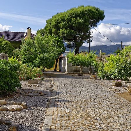 Zen Vouga Villa Ribeiradio Екстериор снимка