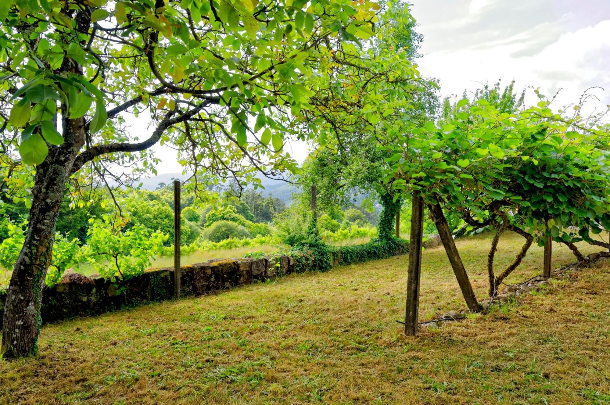 Zen Vouga Villa Ribeiradio Екстериор снимка