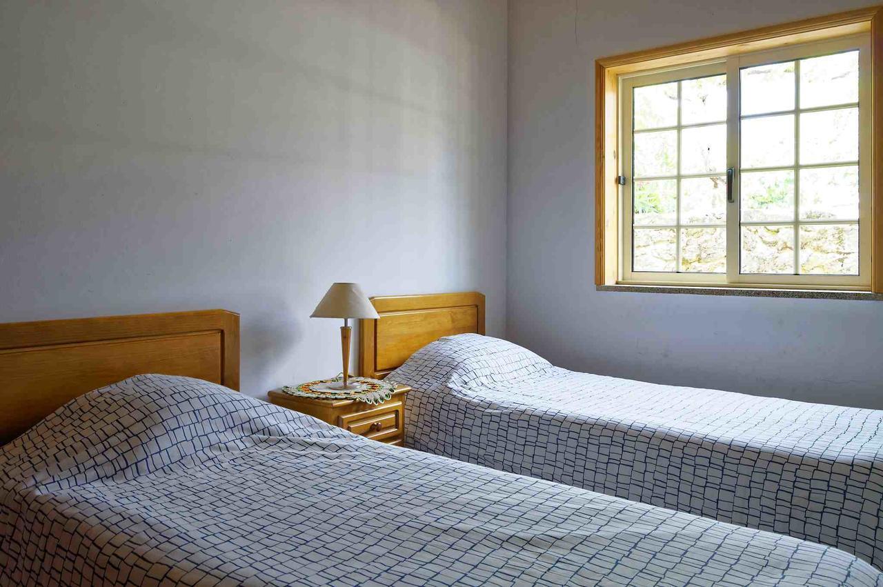 Zen Vouga Villa Ribeiradio Екстериор снимка